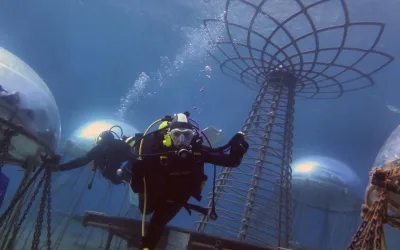 News 39 Nemo’s Garden: prima immersione della stagione 2024 a Capo Noli