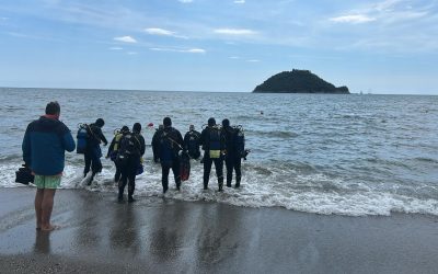 News 15 Immersioni – Giugno / Ottobre 2025