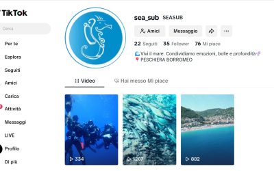 News 14 Concorso Miglior Video TikTok – SeaSub