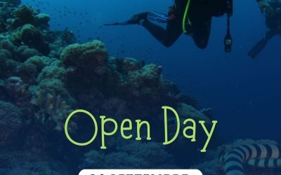 News 12 Open Day Subacquea – Seasub Sabato 20 settembre 2025 dalle ore 10:00